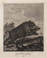KG 01076
          <br/>
          Entwurf einiger Thiere. Vierter Theil. (16 bladen)
          <br/>
          <em>Ridinger, Johann Elias (1698-1767)</em>